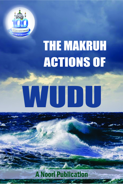 the makruh actions of wudu